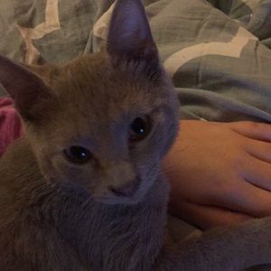 Meet your Posher, Jenna